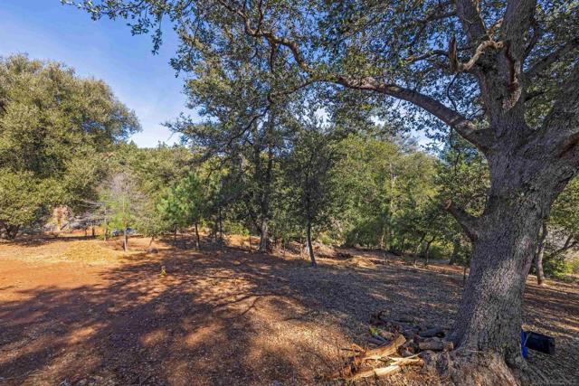 0 Frisius Dr, Julian CA: https://media.crmls.org/mediaz/8488c857-9d36-431c-b52e-772bd54599aa.jpg