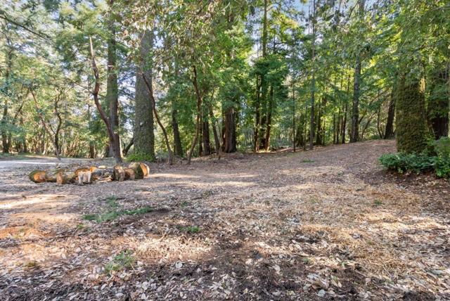 0 Allen, Woodside CA: https://media.crmls.org/mediaz/84935531-1370-474b-8873-8a8b17aa1938.jpg