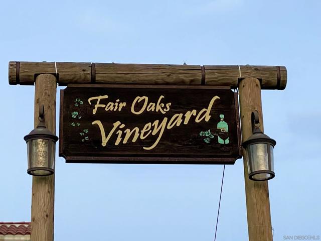 Award-winning Merlot grapes.
