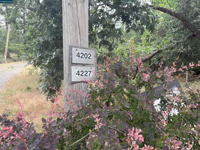4227 Meadow View Rd, Murphys CA: https://media.crmls.org/mediaz/84a446f7-2775-4a93-9a2a-3632c9926565.jpg