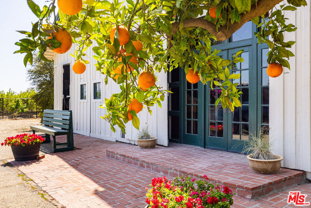 13721 W Telegraph Road, Santa Paula CA: https://media.crmls.org/mediaz/84b4aec7-b4f6-41f1-902e-5a65d88affd5.jpg