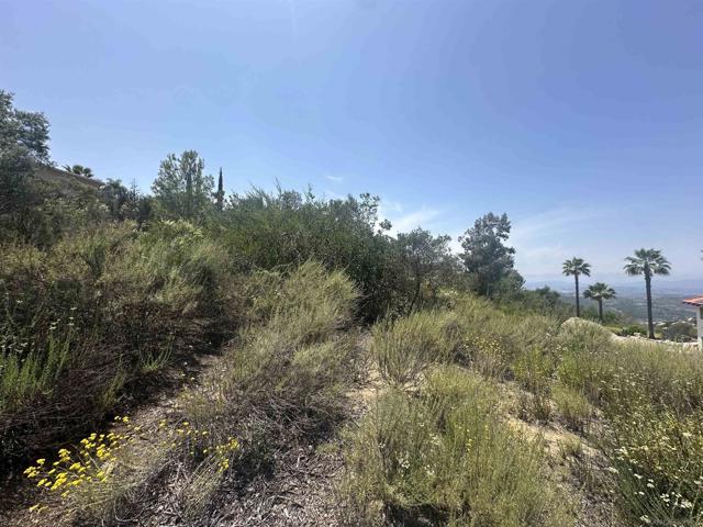 0 Sage Hill Way, Escondido CA: https://media.crmls.org/mediaz/84bc98cf-242e-4970-b0ee-3c33aaa62339.jpg