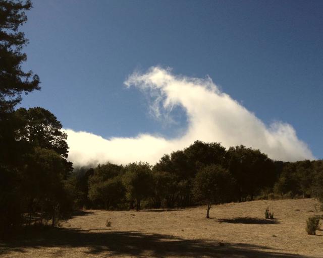 102 Santa Maria Avenue, Portola Valley CA: https://media.crmls.org/mediaz/84bfe7e7-60f9-4f5f-811a-1374d53cb420.jpg