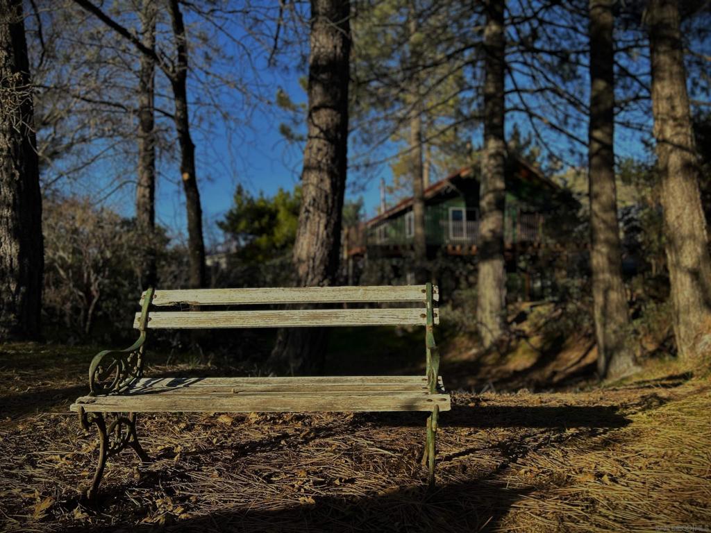 https://media.crmls.org/mediaz/84c019d6-a1d2-451f-9d0a-752603580546.jpg?preset=X-Large
