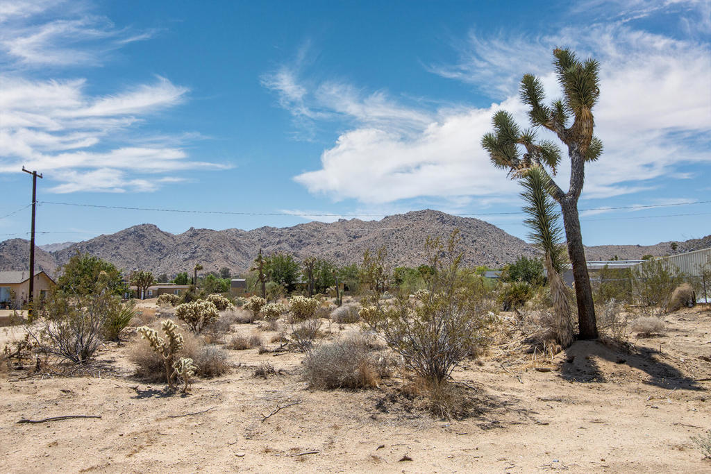 MLS #219138551PS image #5