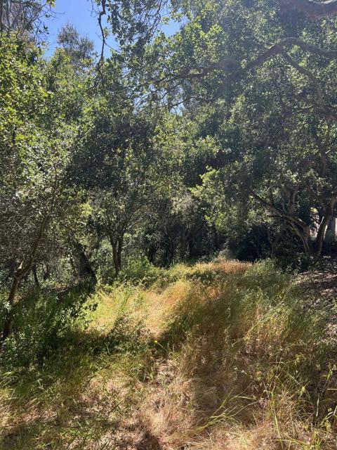 17160 Wilson Way, Royal Oaks CA: https://media.crmls.org/mediaz/84cf0d0b-ded6-491e-8ec4-1094d1443903.jpg