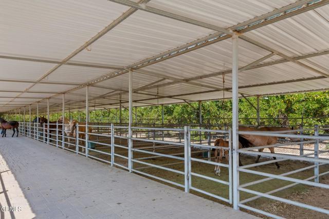 7-web-or-mls-07 - Horse Stables