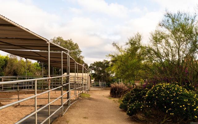 Detail Gallery Image 9 of 46 For 16761 Artesian Breeze Way, San Diego,  CA 92127 - 5 Beds | 4 Baths