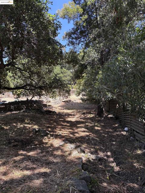 5415 Leona Street, Oakland CA: https://media.crmls.org/mediaz/84dd9e4f-2af5-411a-9bea-1bf0935420bc.jpg