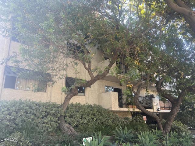 266 S Madison Ave #310, Pasadena, CA 91101