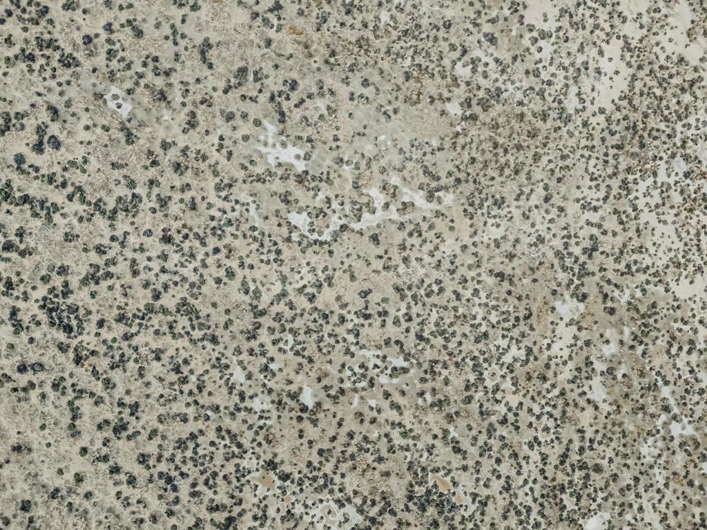 MLS #ML82024761 image #18