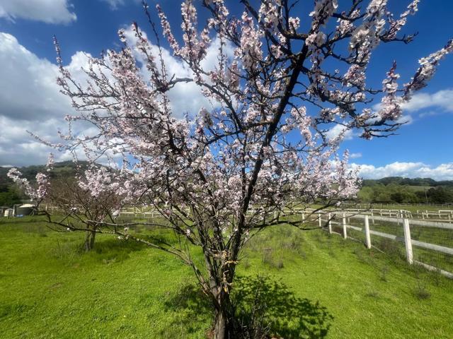 5390 Little Uvas Road, Morgan Hill CA: https://media.crmls.org/mediaz/84e50874-485d-4024-b2fa-7aaa07814b6e.jpg
