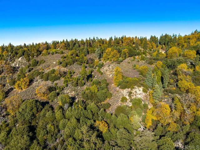 Detail Gallery Image 23 of 33 For 0 State Park Rd, Palomar Mountain,  CA 92060 - – Beds | – Baths