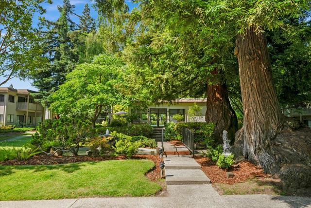50 Horgan Avenue, Redwood City CA: https://media.crmls.org/mediaz/8506e5eb-a3d1-4f28-8908-d8359f1fd19e.jpg