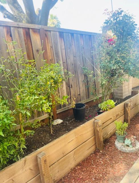 2101 Darnis Circle, Morgan Hill CA: https://media.crmls.org/mediaz/8510ce42-9f99-449c-a9fe-4be2777a77ab.jpg