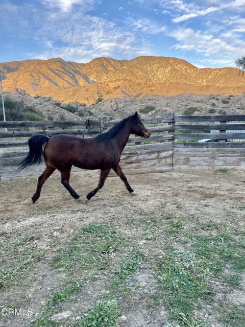 Detail Gallery Image 6 of 75 For 11461 Riverwood Dr, Sunland,  CA 91040 - 3 Beds | 2 Baths