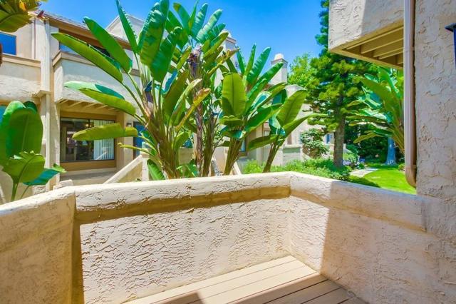 3268 Via Marin, La Jolla CA: https://media.crmls.org/mediaz/8548ffa7-4275-42ed-b4ca-d88e3845e29b.jpg