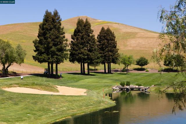 5427 Blackhawk Dr, Danville CA: https://media.crmls.org/mediaz/854d125d-361c-49fc-813a-2aaf9fb3da44.jpg