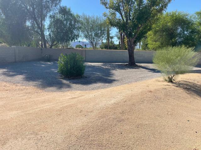 12.1 back yard and HOA area