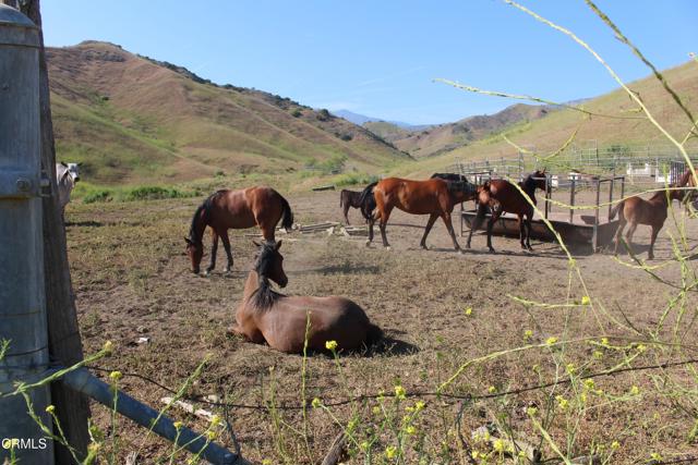 0 Dickenson Road, Santa Paula CA: https://media.crmls.org/mediaz/85572352-0cf6-48af-b793-0cca0af8bf1e.jpg