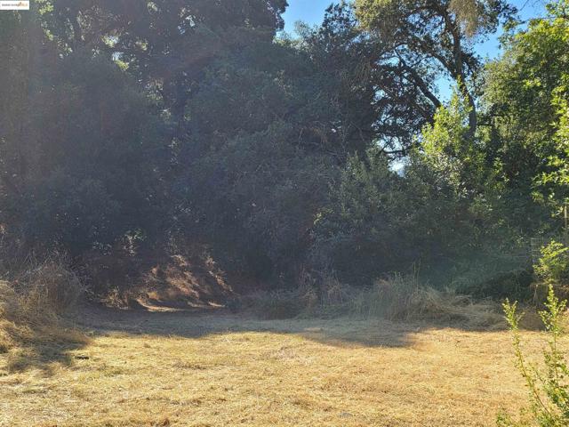 40 Hilldale Ct, Orinda CA: https://media.crmls.org/mediaz/855c1646-f814-47f6-aa8b-59ba1e57c2a8.jpg