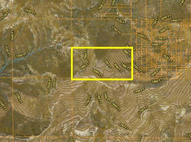 7003 Loma Verde Mountainway, Castaic CA: https://media.crmls.org/mediaz/8560e18f-bda1-406f-928b-8bcc5c3d8932.jpg