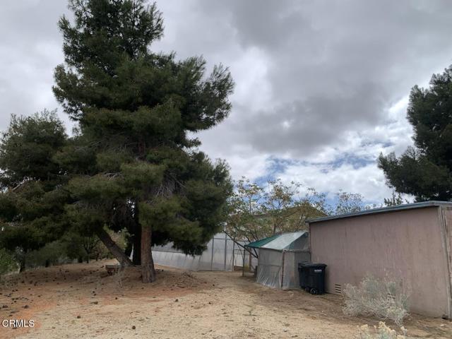 9020 Pionero Road, Pinon Hills CA: https://media.crmls.org/mediaz/85745aed-8068-475d-a983-0bbe977399c1.jpg
