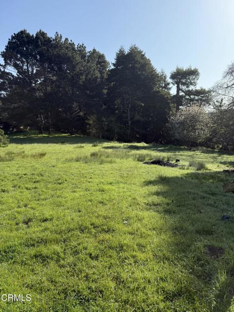 596 S Sanderson Way, Fort Bragg CA: https://media.crmls.org/mediaz/8574dc65-1c36-4a55-a6c4-9af5cd8cee08.jpg