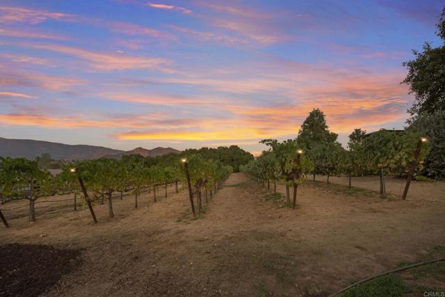 Detail Gallery Image 59 of 59 For 15256 Molly Anne Ct, Valley Center,  CA 92082 - 4 Beds | 3 Baths