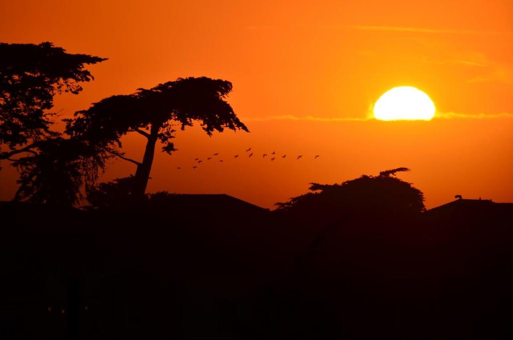 https://media.crmls.org/mediaz/85918ec7-563f-4e76-ae52-28c4db7917f7.jpg?preset=X-Large