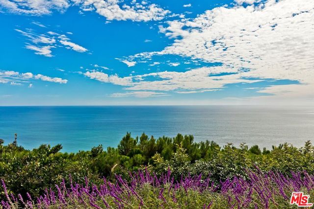 Drew Fenton | 18120 Wakecrest Drive Malibu CA | MLS: 7423634