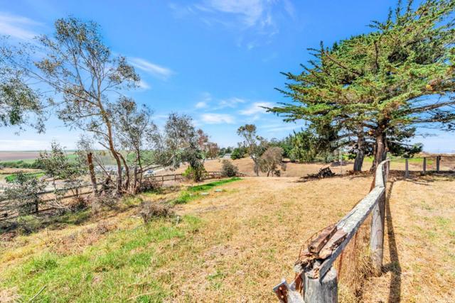 501 Trail Drive, Moss Landing CA: https://media.crmls.org/mediaz/8599704c-0bfe-42df-860f-564b6af28892.jpg