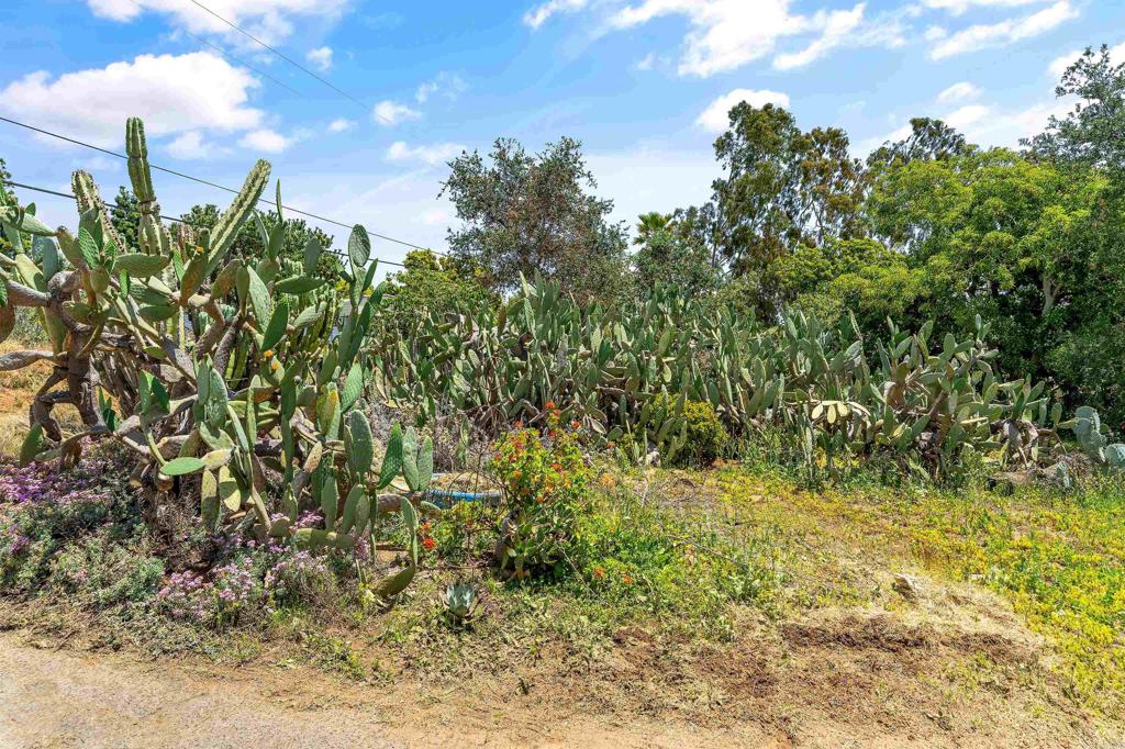 85A383F6 2Ea3 4998 A1De 4D8Ad7215796 2163 Gracey Lane, Fallbrook, Ca 92028 &Lt;Span Style='BackgroundColor:transparent;Padding:0Px;'&Gt; &Lt;Small&Gt; &Lt;I&Gt; &Lt;/I&Gt; &Lt;/Small&Gt;&Lt;/Span&Gt;