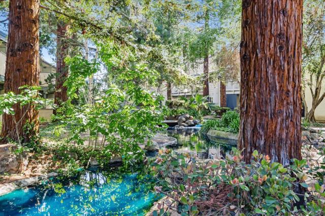 1042 Summermist Court, San Jose CA: https://media.crmls.org/mediaz/85a93dd5-4360-4d75-894b-830ddc8eb848.jpg