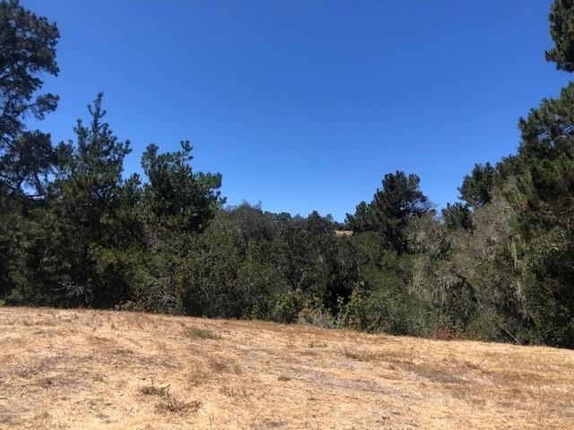 7735 Paseo Venado (Lot 82), Monterey CA: https://media.crmls.org/mediaz/85c67a88-bf0b-43b8-8c0c-0f244bf7740c.jpg