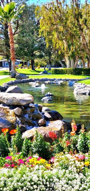 94 Armenia Drive, Cathedral City CA: https://media.crmls.org/mediaz/85cd2018-1a4f-4bca-91e5-0a1bc056ebfb.jpg
