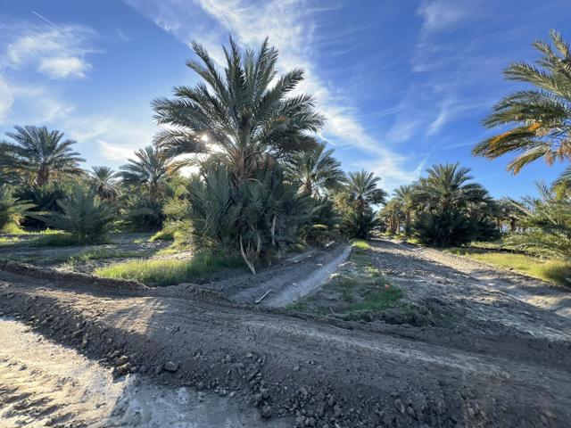 0 Nwc Pierce St & Ave 64, Thermal CA: https://media.crmls.org/mediaz/85d42d07-e4f1-4df9-ae45-6c8d14a5a45f.jpg