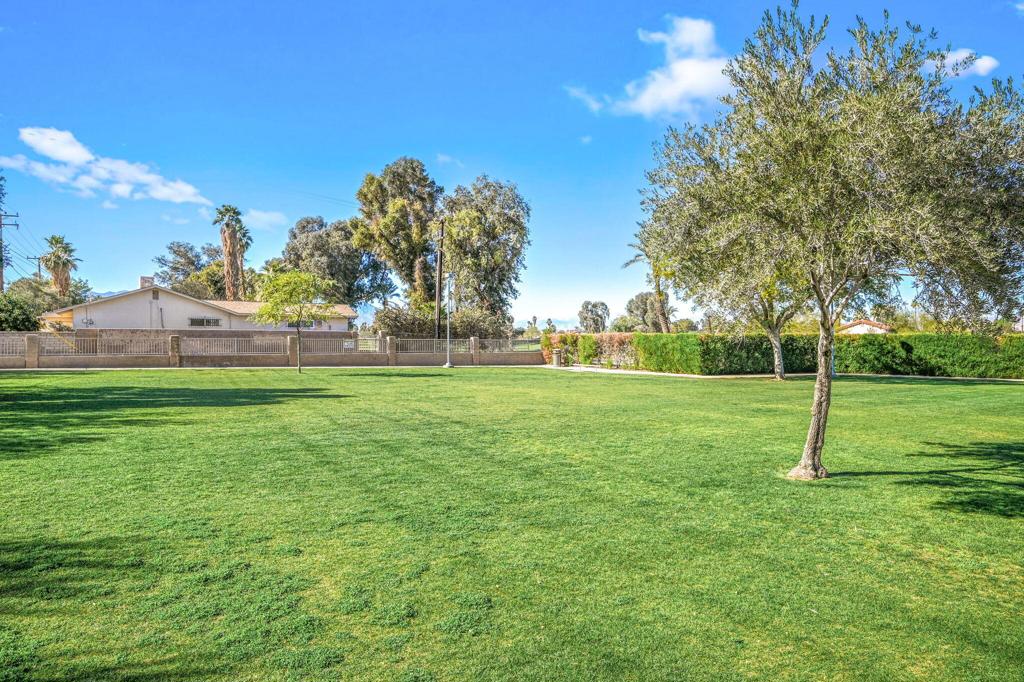 MLS #219132767DA img 32