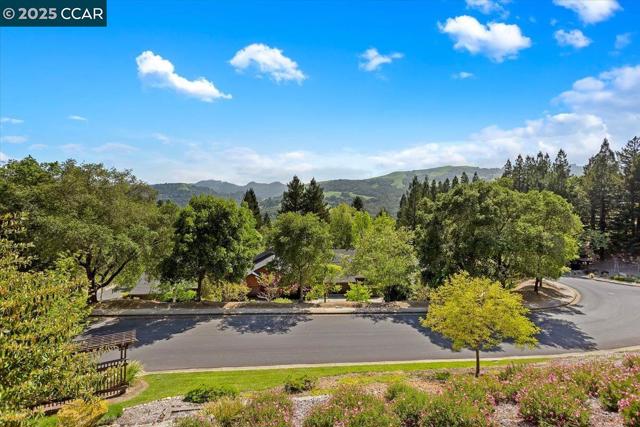 316 Village View Ct, Orinda CA: https://media.crmls.org/mediaz/85db4afa-8481-4938-99f7-8c64d5abcefb.jpg