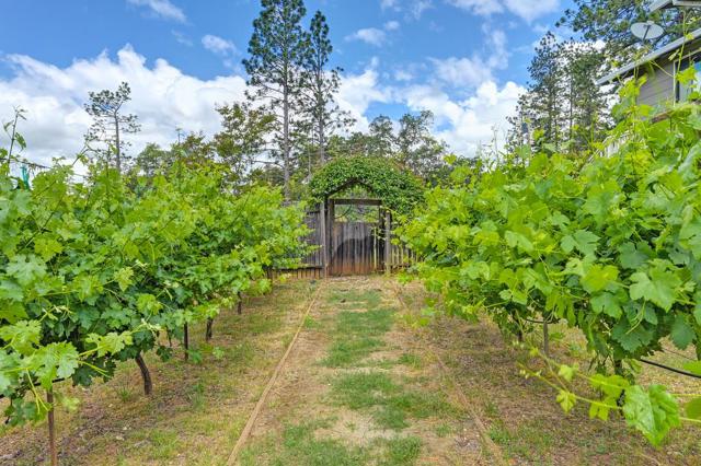 2640 Gayle Lane, Auburn CA: https://media.crmls.org/mediaz/85dd79e3-0cca-455e-af69-c26f32eb6dc6.jpg