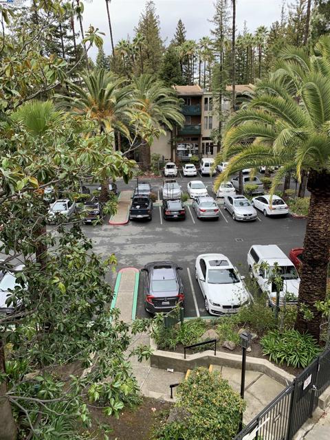 185 Sierra Dr, Walnut Creek CA: https://media.crmls.org/mediaz/85df862d-9961-46ef-99d8-a5e76506f7d6.jpg