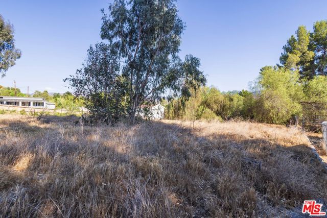 27933 Magic Mountain Lane, Canyon Country CA: https://media.crmls.org/mediaz/85e14d16-1632-4c14-bbd8-f62f924ece78.jpg
