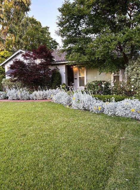 1966 Almaden Road, San Jose CA: https://media.crmls.org/mediaz/85e3db94-3dc8-44f1-b976-b99d2a8dc593.jpg