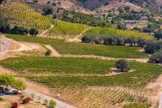 Front Image Thumbnail for CRPTP2507052