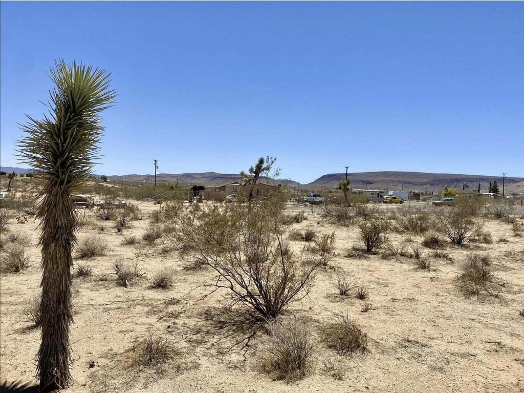 MLS #219122273PS image #5