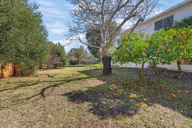 14721 Live Oak Lane, Saratoga CA: https://media.crmls.org/mediaz/8600a5a0-29a0-44bf-acec-a15e96e6d45c.jpg