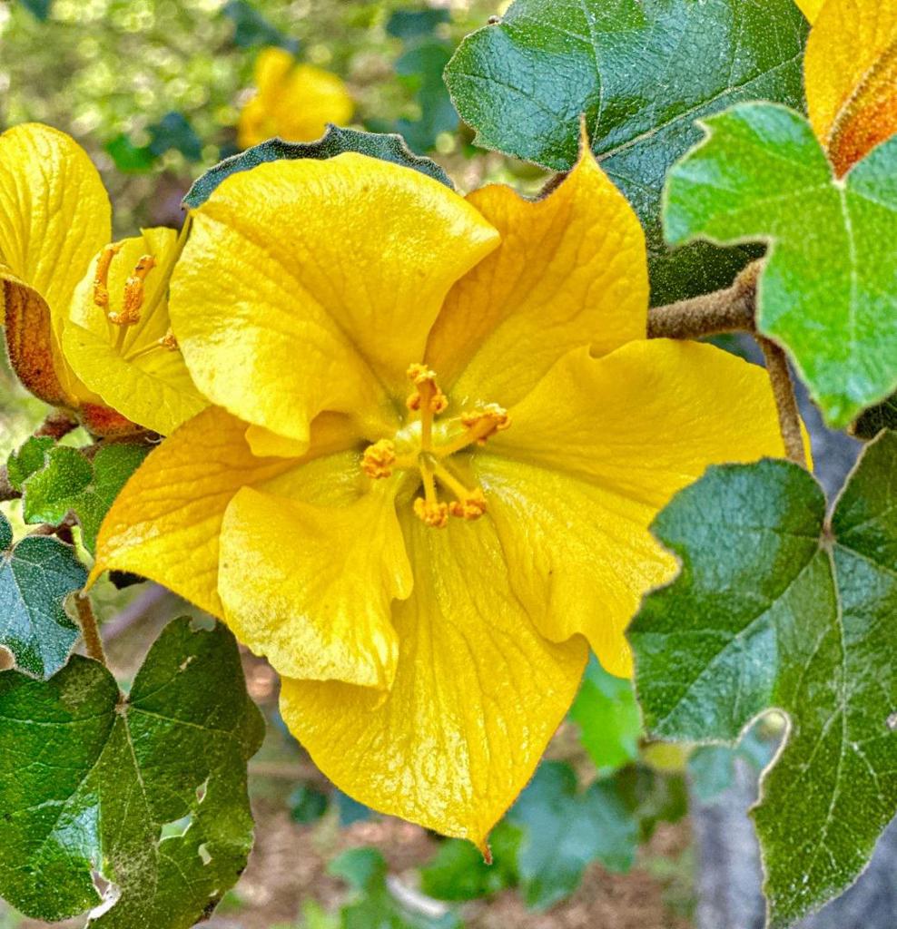 https://media.crmls.org/mediaz/860aff67-d771-4a52-a7f7-1417c92e78d0.jpg?preset=X-Large