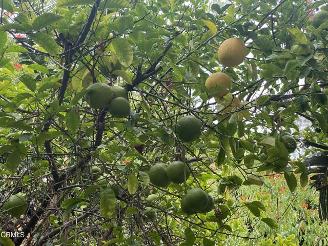 Detail Gallery Image 30 of 34 For 9212 Creemore Dr, La Crescenta,  CA 91214 - 3 Beds | 3 Baths