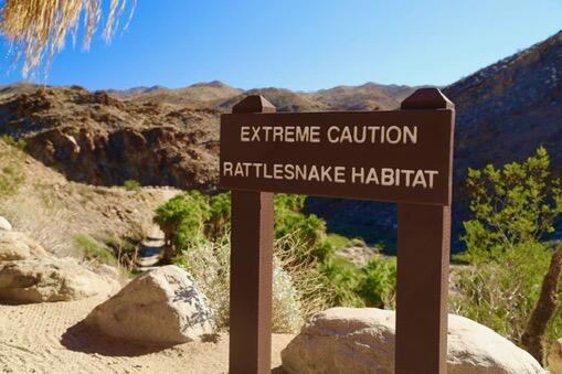 MLS #219141476PS image #44