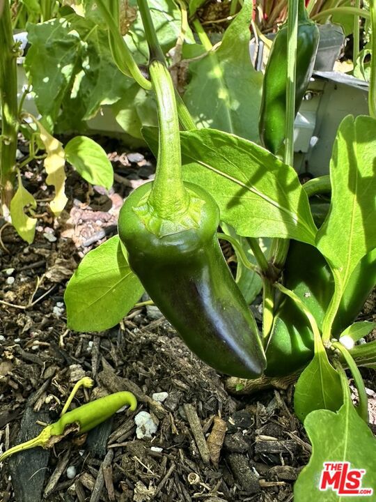 1625 18th Street, Manhattan Beach, California 90266, 4 Bedrooms Bedrooms, ,5 BathroomsBathrooms,Residential,For Sale,18th,26655945